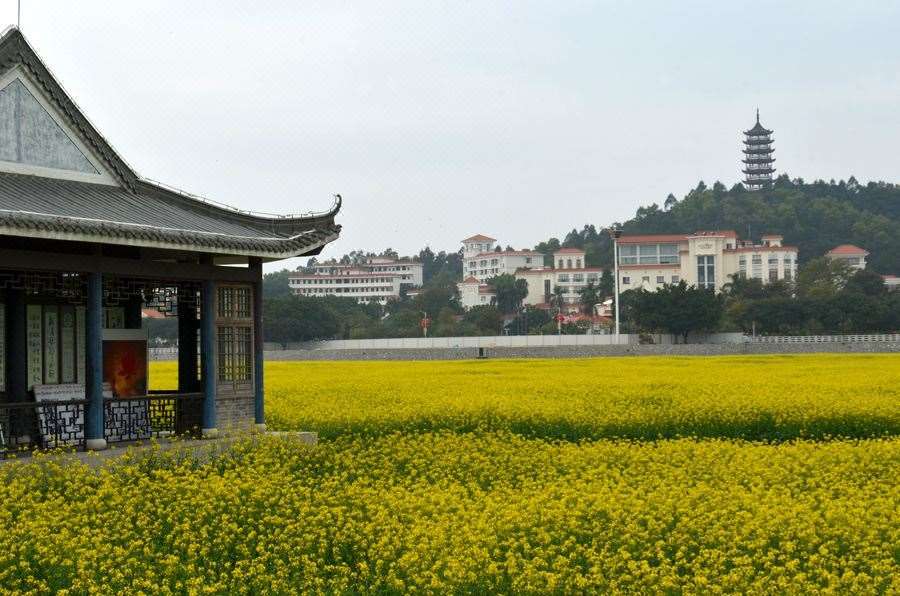 Dongguan Goodview Hotel Sangem Qiaotou Felszereltség fotó